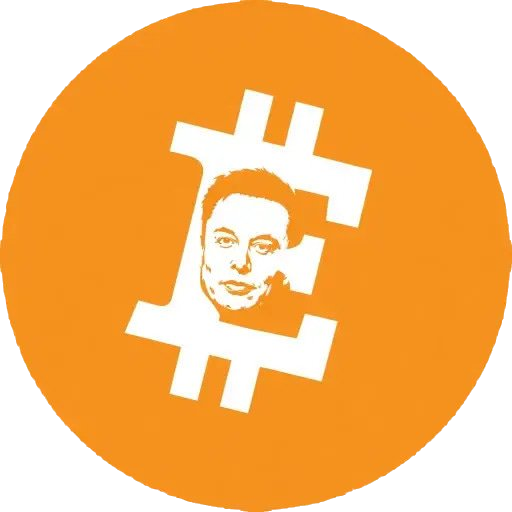 ElonMuskCoin logo